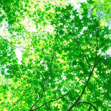 HappyDoor7474의 QuizKnock