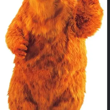 Profile image of Bear