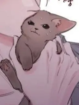 Ms.Y의 고양이 수인