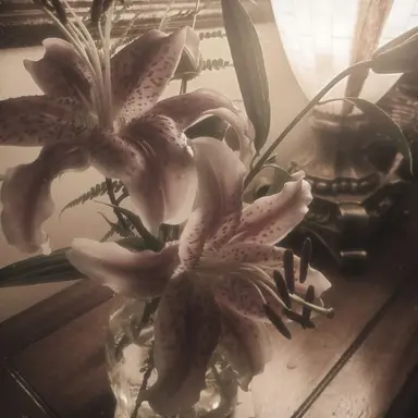 Profile image of 루카