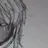 ノア