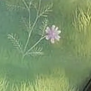 Profile image of アーサー