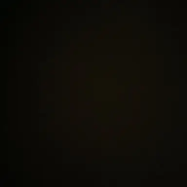 Profile image of 권전무