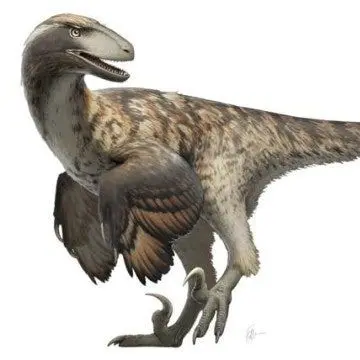 Profile image of 벨로키랍토르