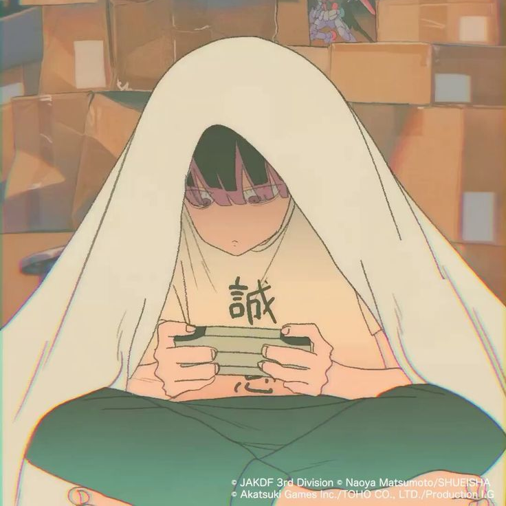 나루미 겐, 호시나 대표 이미지