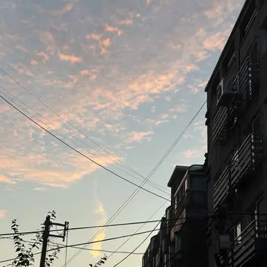 Profile image of 쉐도우밀크쿠키