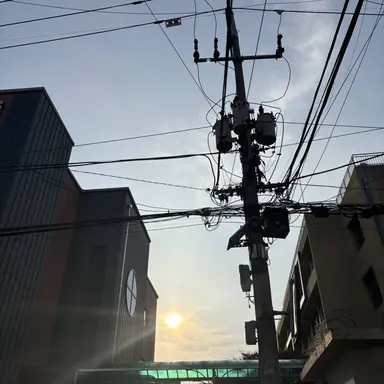 Profile image of 이다메