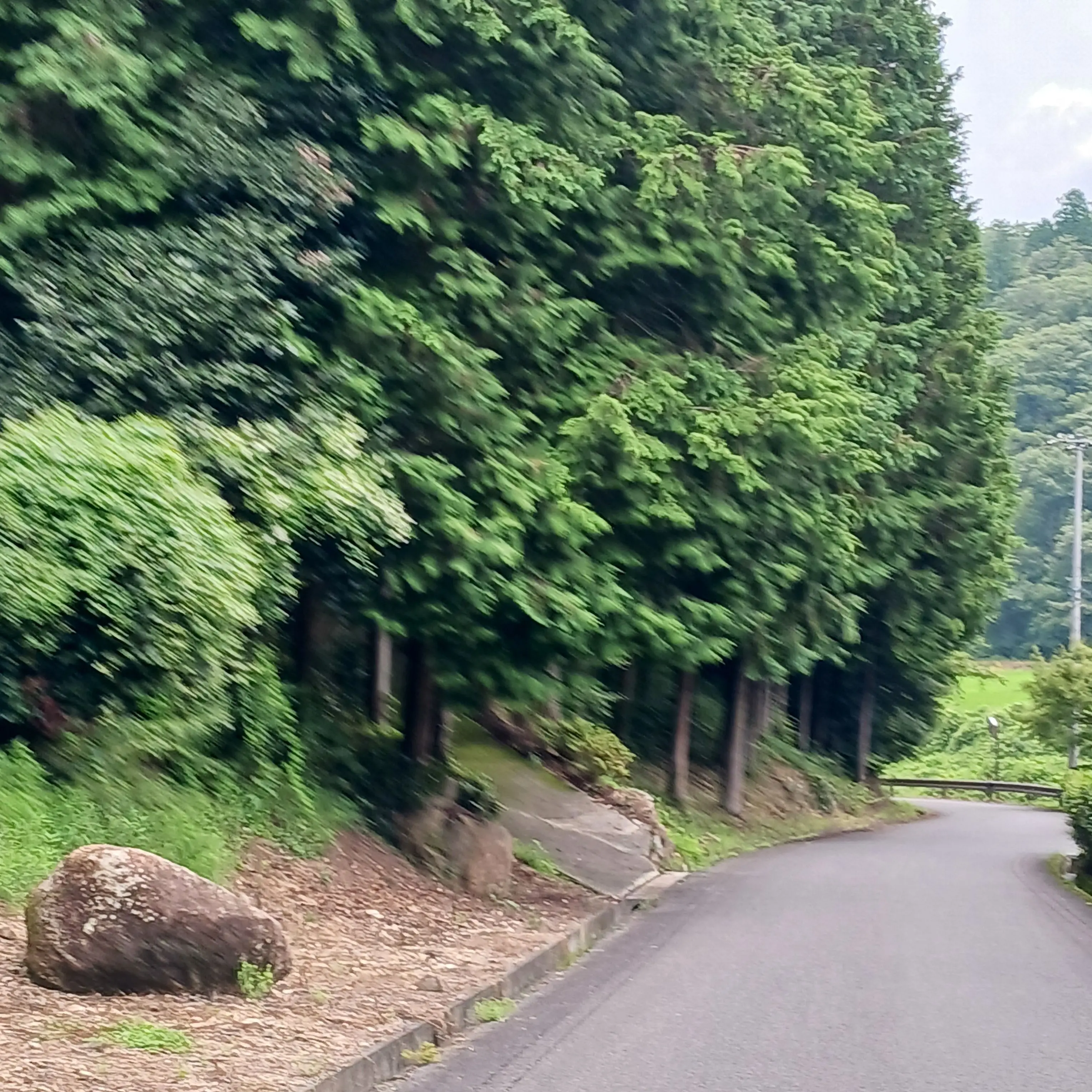 VagueOtter7836의 永瀬廉