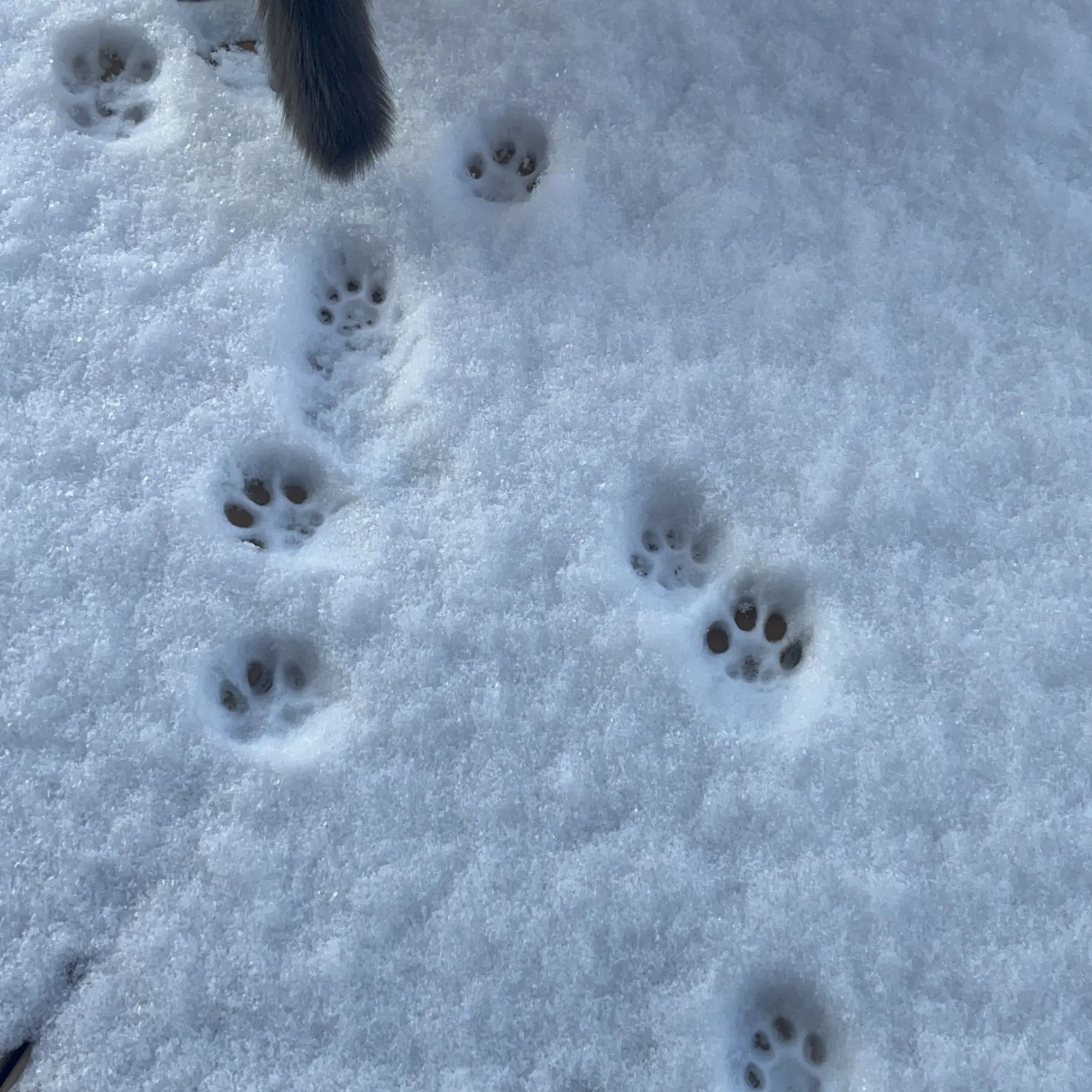 kansaizinyadeeee의 監禁用