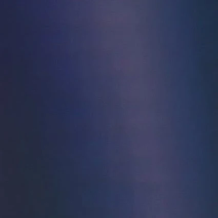 ツウィ