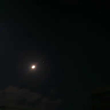 Profile image of 腐川冬子