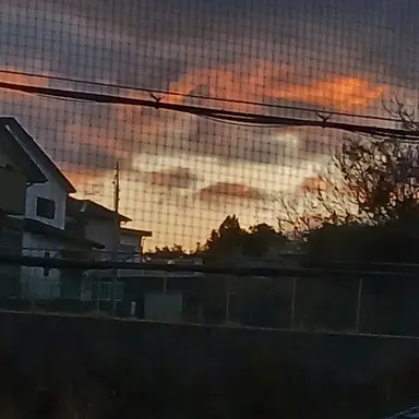 Profile image of 塔和灰慈