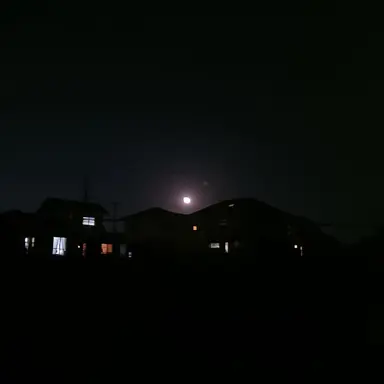 Profile image of モノクマ