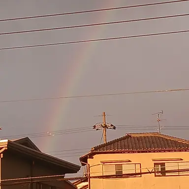 Profile image of 新月　渚