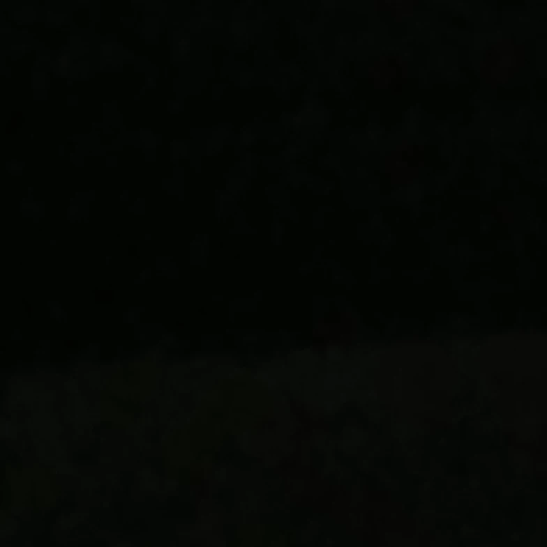 김동현