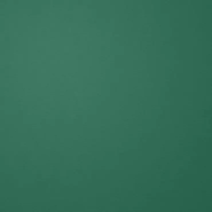 BlankScore6619의 メンバー達とハワイ旅行？！