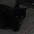 껌둥이