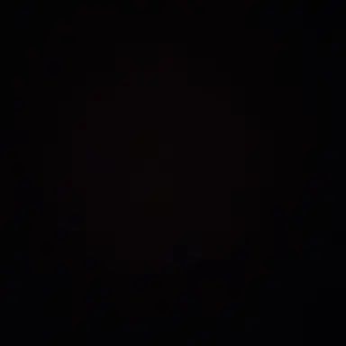 Profile image of 초롱