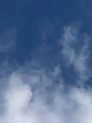 vvv_vvv의 Free World (No Lorebook)