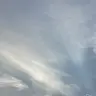 Profile image of Free World