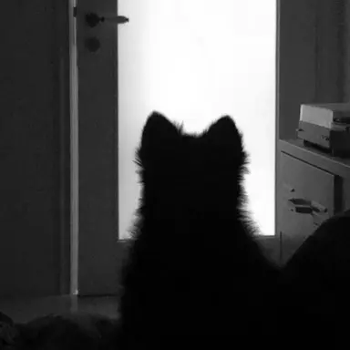 Profile image of 김주희