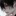 박수호