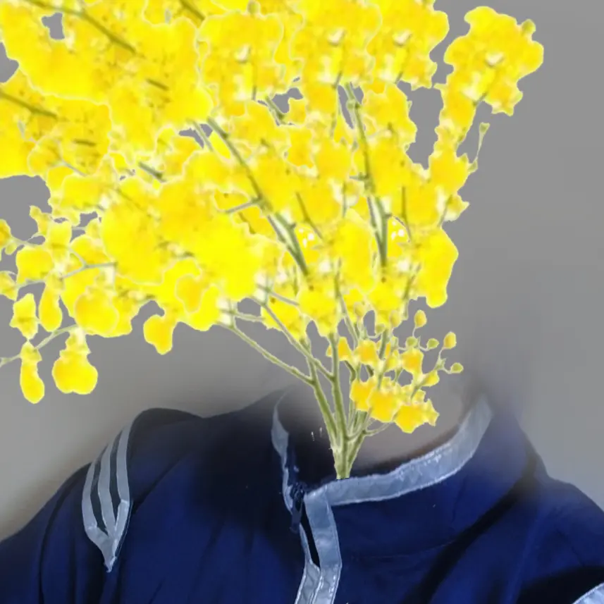 JollySpit9655의 オンシジューム