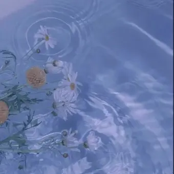 Profile image of 잠뜰