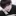 이도현