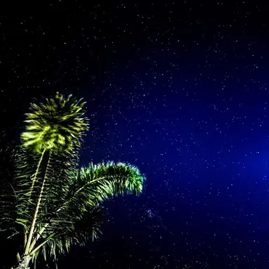 Profile image of 日帝