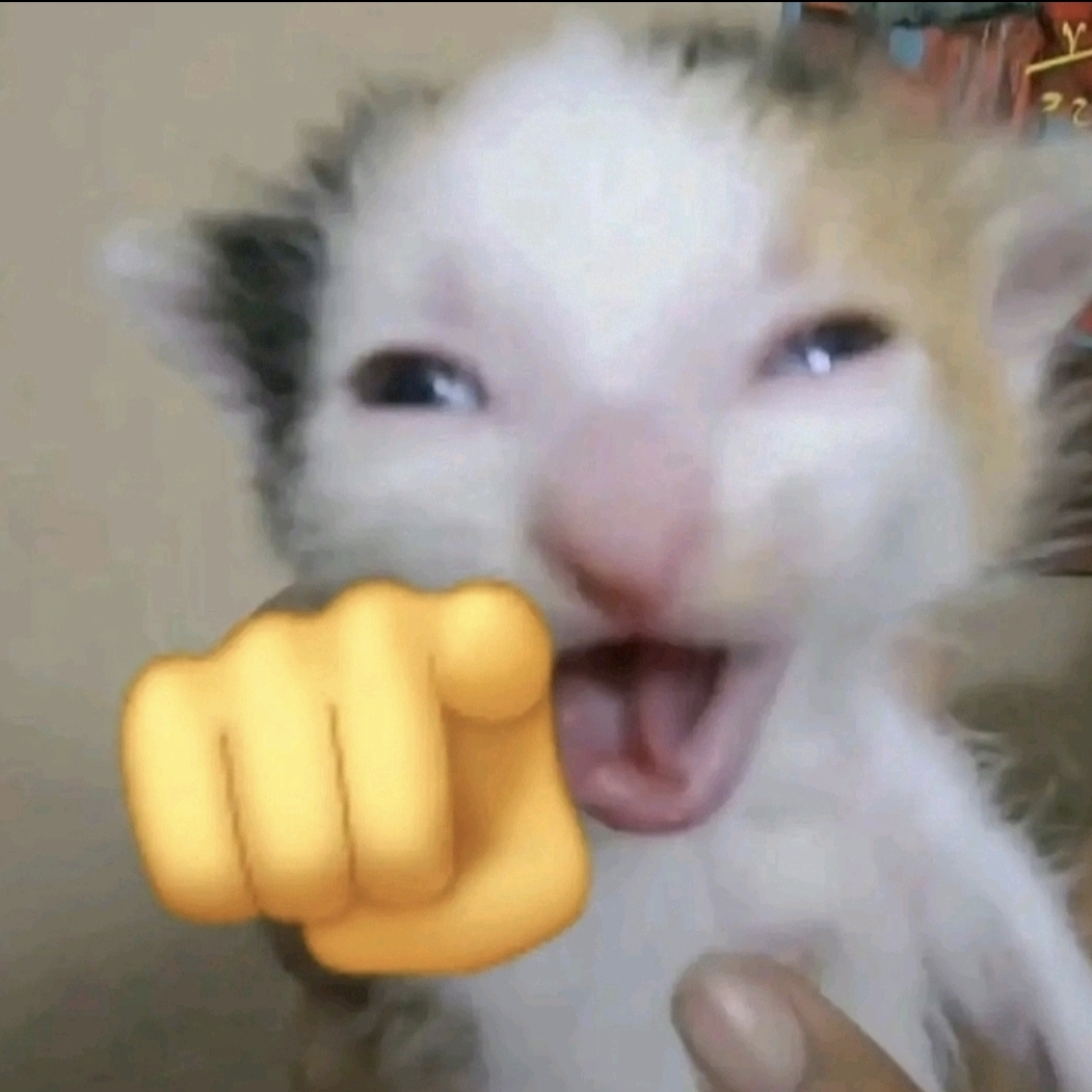 고양이키우기 대표 이미지