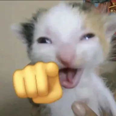 Profile image of 고양이