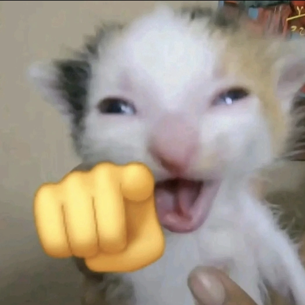 고양이