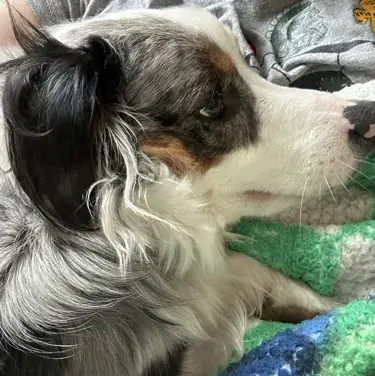 Profile image of TF-141 Intimidating User