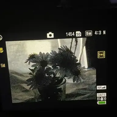 Profile image of 시미베