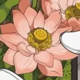 Profile image of ファン