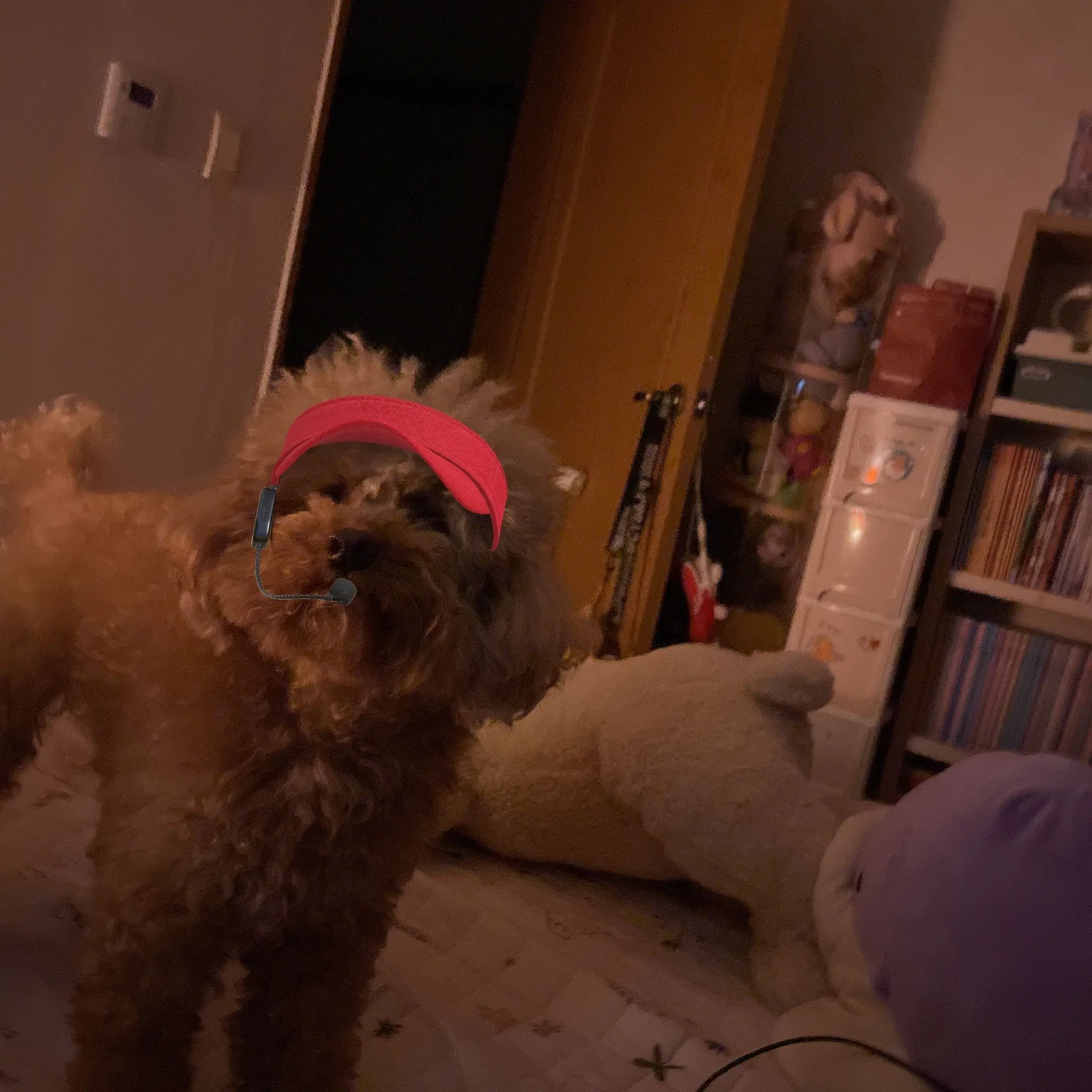 PurelyDiver7116의 이상혁 여동생