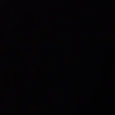 Profile image of T