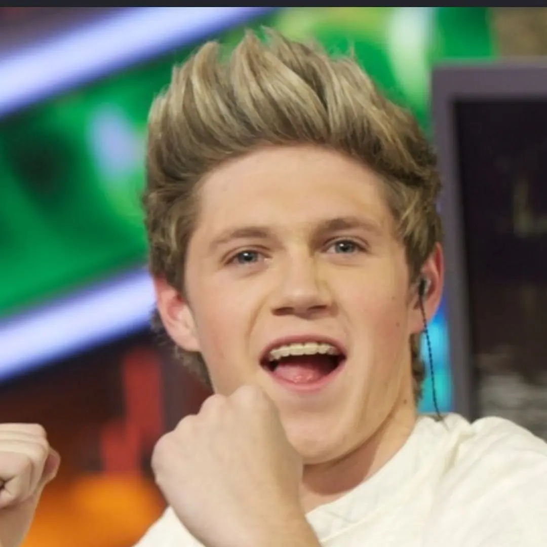 DaringTrump5980의 Catfished by Niall Horan