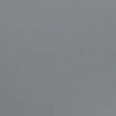 Profile image of 장하오