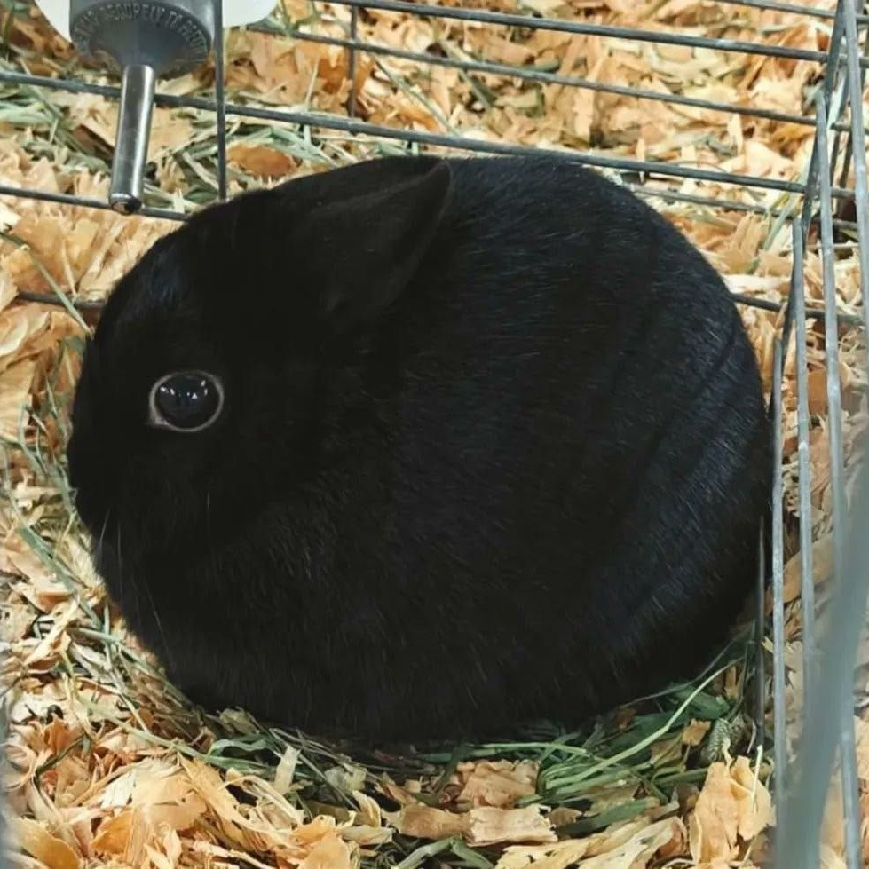 안예한 대표 이미지