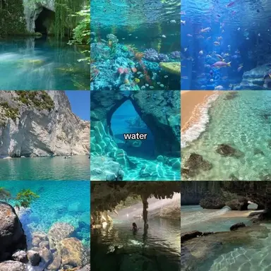 Profile image of Water kingdom