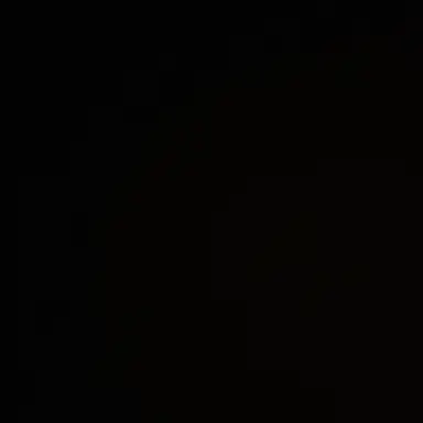 Profile image of 聖龍