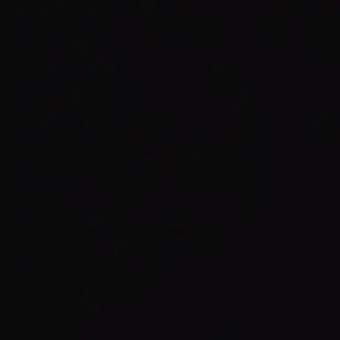 Profile image of 김도영