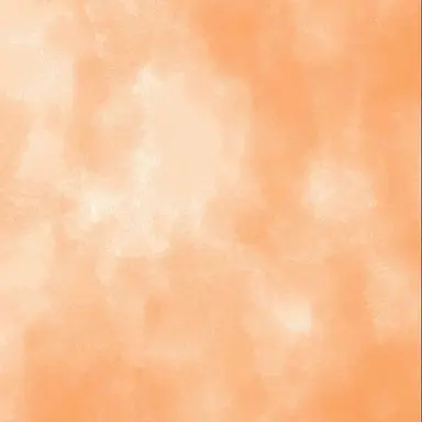 Profile image of 向井康二