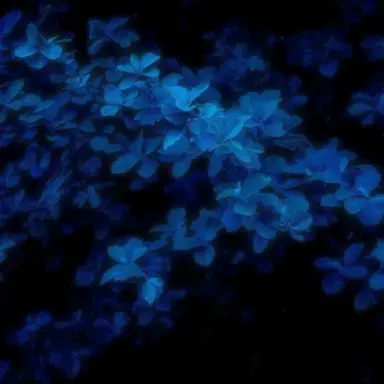 Profile image of モンド