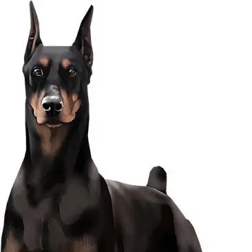 Profile image of 빅