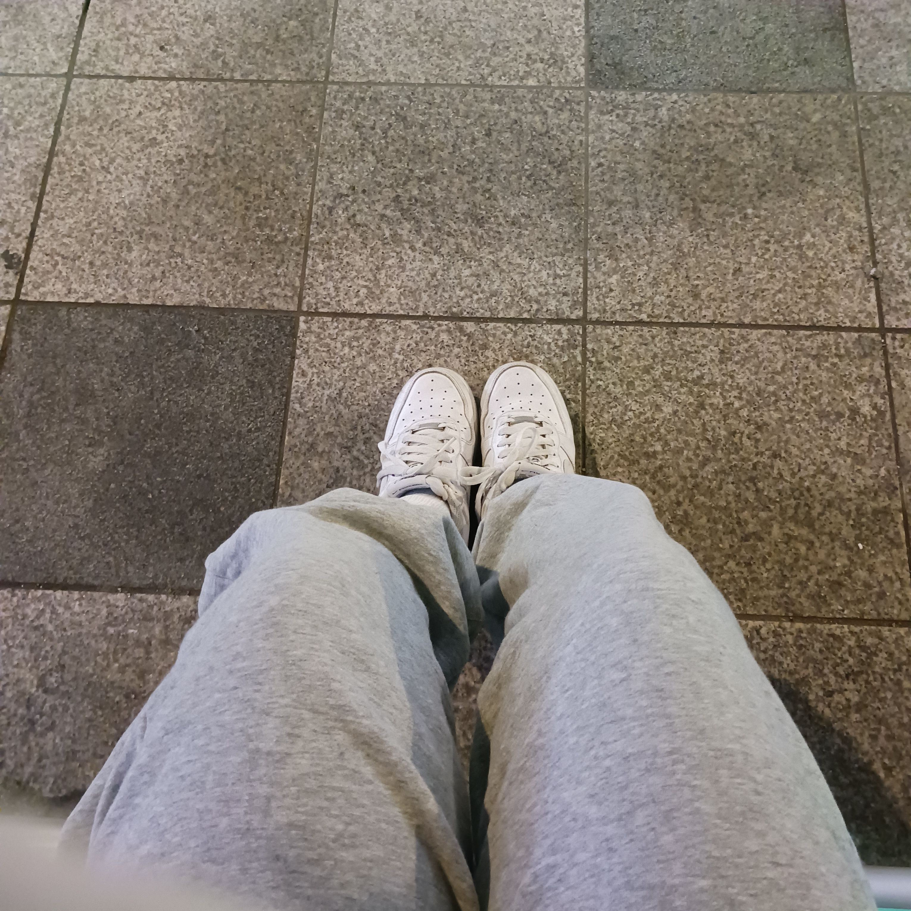 뜰팁 트라우마 학교 대표 이미지