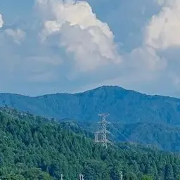 Profile image of 田宮