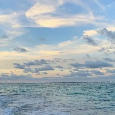 Profile image of 雪宮